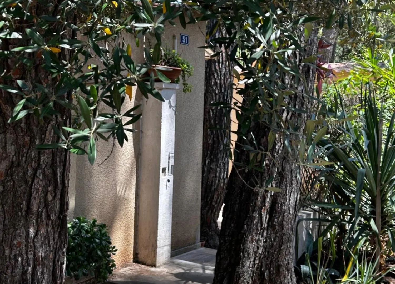 Cabanon A Sanary Sur Mer Au Coeur De Portissol. location