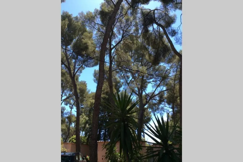 Hébergement de vacances Cabanon à Sanary sur mer au coeur de Portissol.